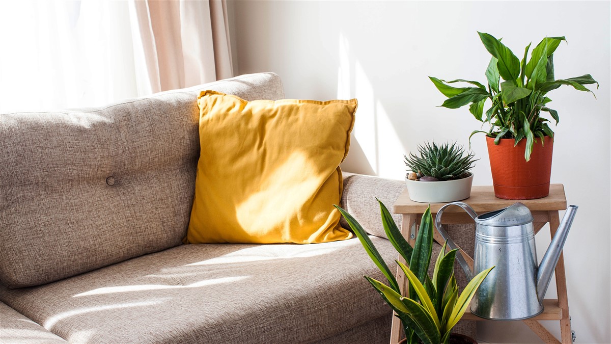 Des plans aux coussins : l’application de design d’intérieur qui révolutionne la déco